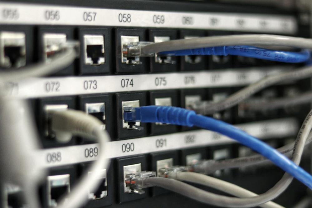 Close-up of a structured network patch panel with labeled ethernet cabling